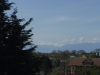 Thumbnail P5100011.JPG 