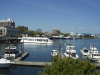 Thumbnail P5110002.JPG 