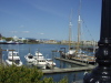 Thumbnail P5110003.JPG 