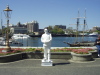 Thumbnail P5110004.JPG 