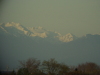 Thumbnail P5110008.JPG 