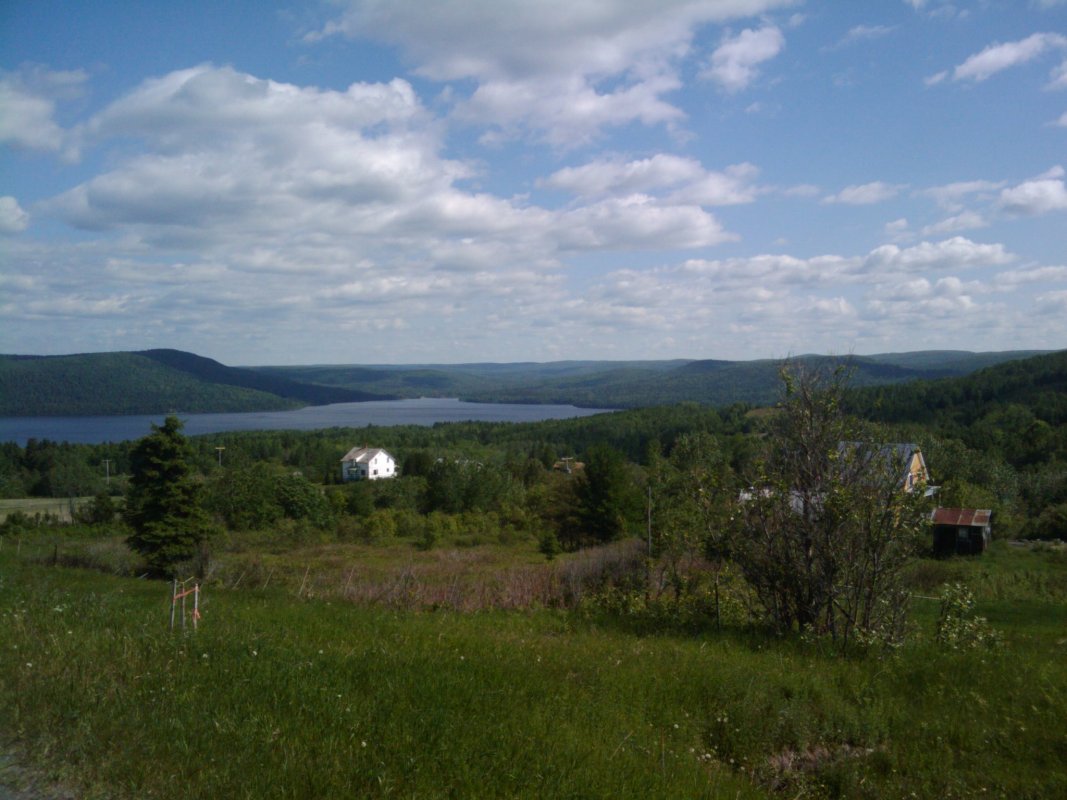 Scaled image 2010-05-30 09.32.00.jpg (167kB)