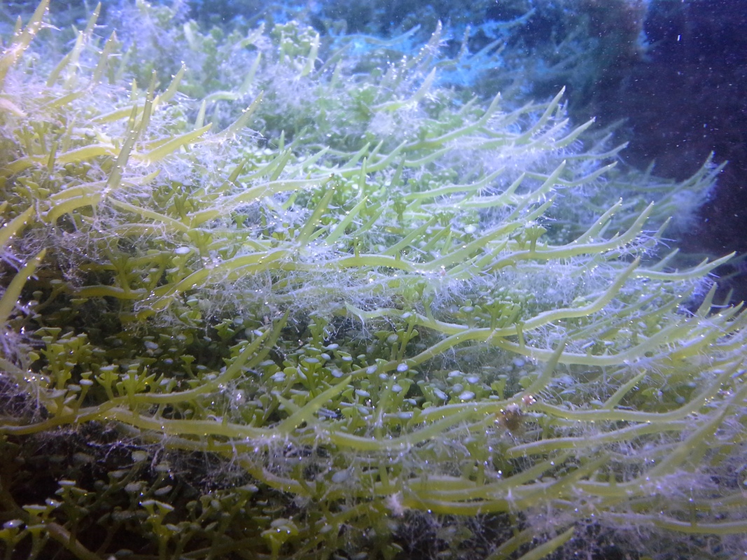 Scaled image 20121103_130642.jpg (404kB)