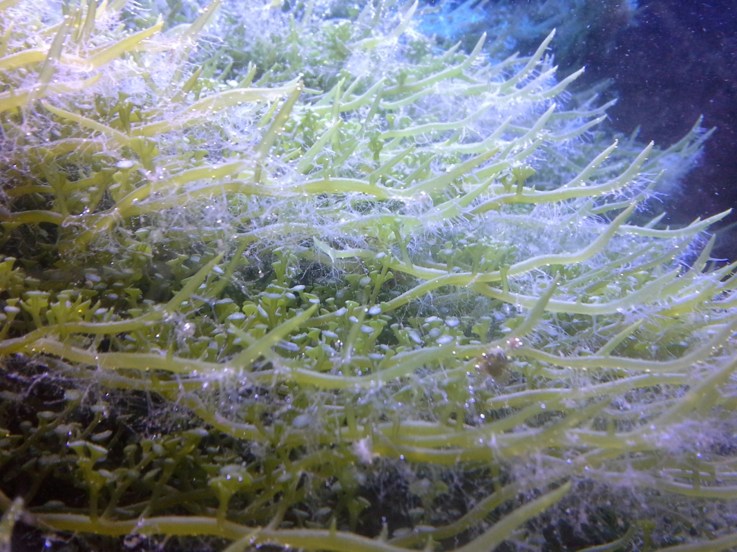 Scaled image 20121103_130649.jpg (382kB)