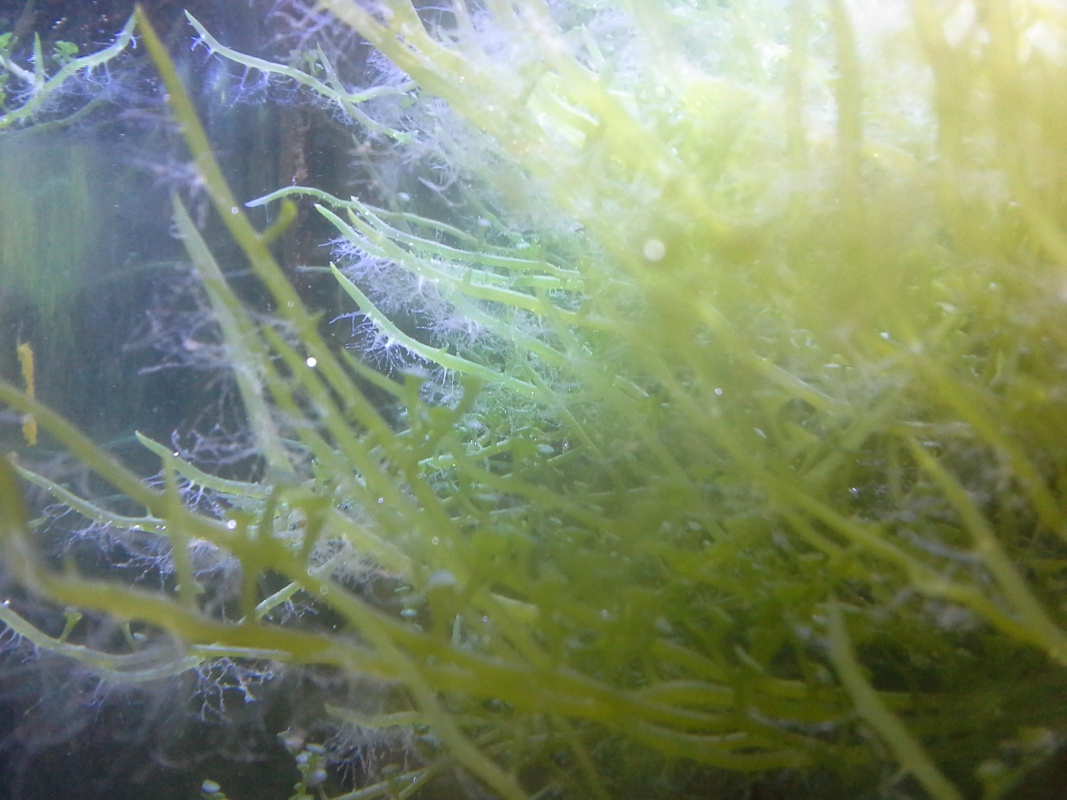 Scaled image 20121103_130655.jpg (273kB)