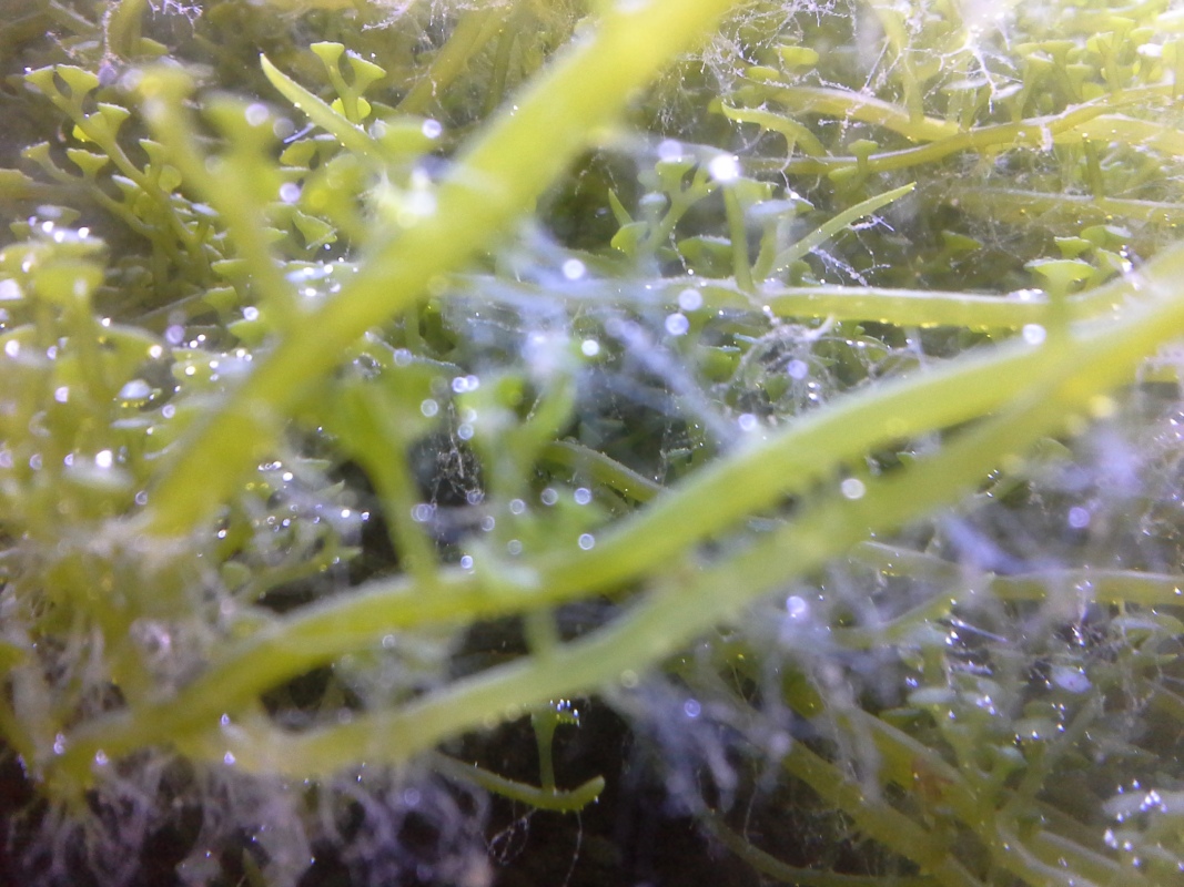 Scaled image 20121103_130728.jpg (305kB)