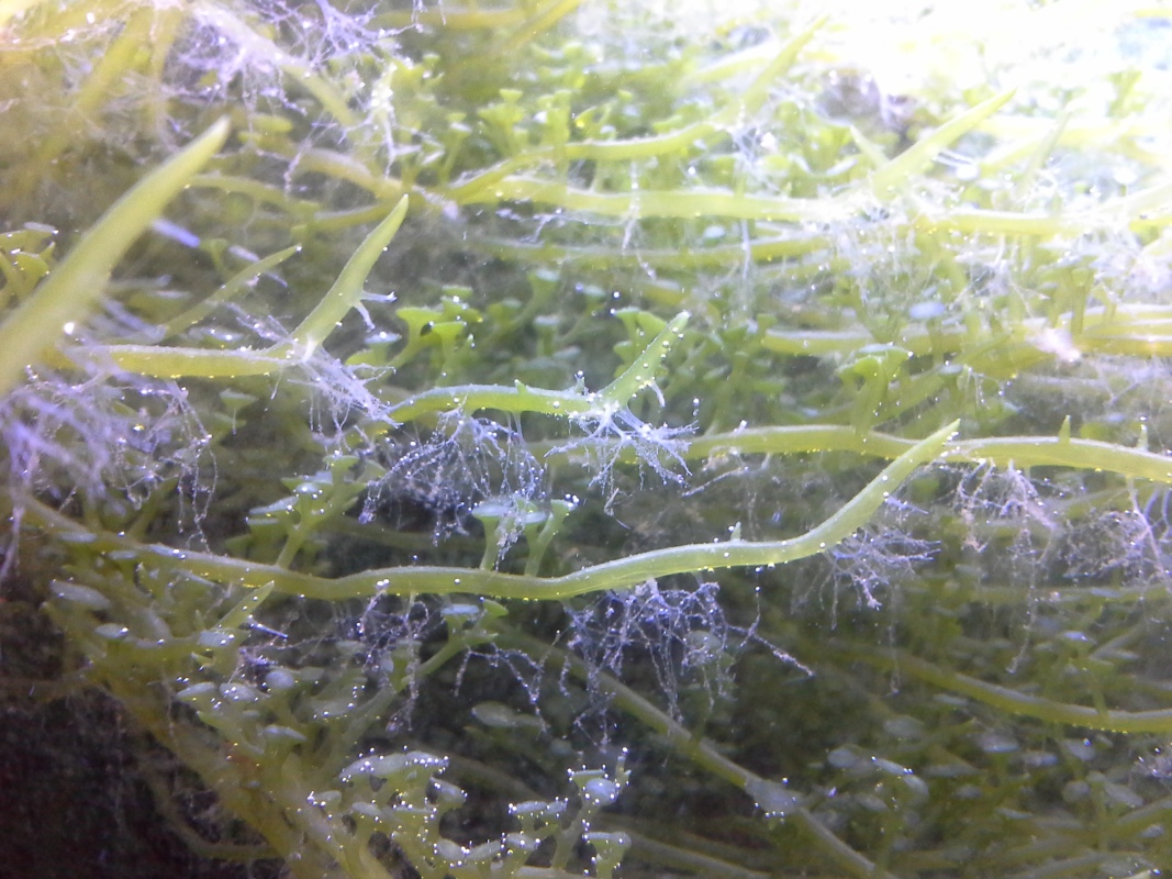 Scaled image 20121103_130739.jpg (337kB)