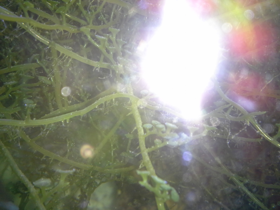 Scaled image 20121103_130748.jpg (224kB)