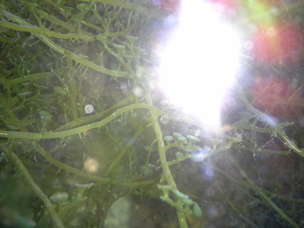 Scaled image 20121103_130753.jpg (228kB)