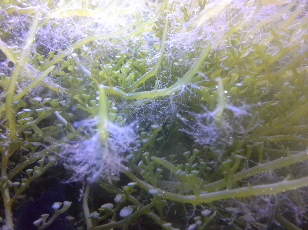 Scaled image 20121103_130807.jpg (335kB)