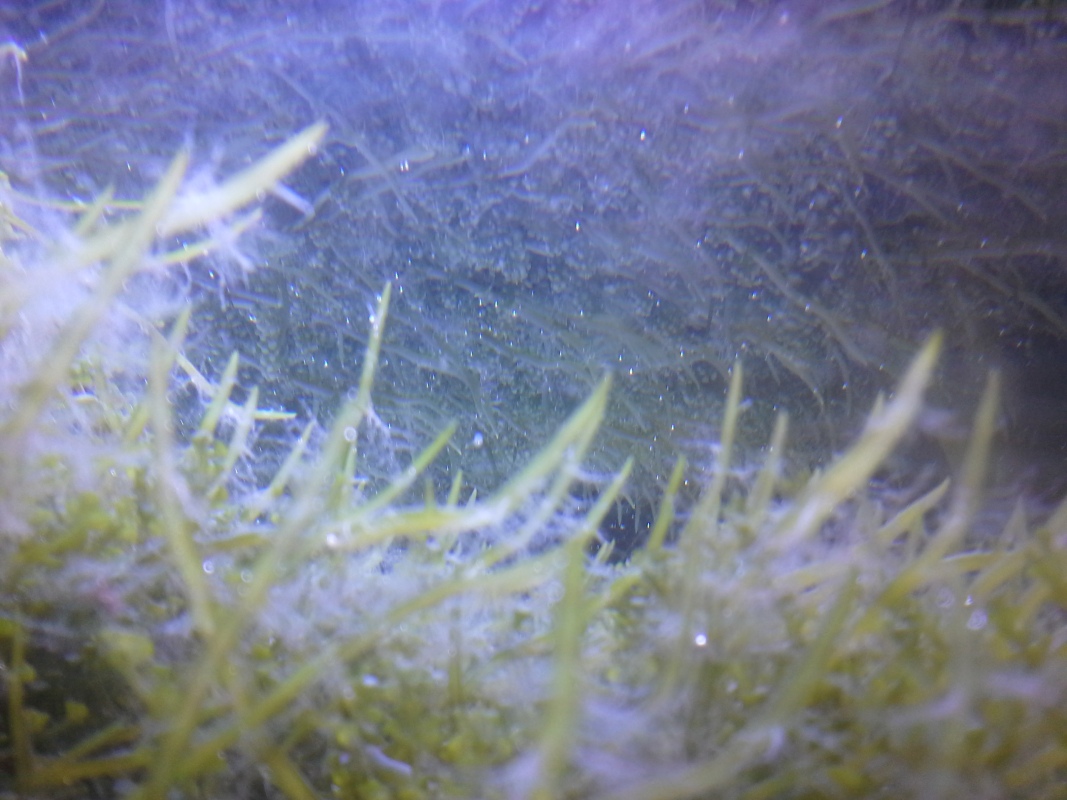 Scaled image 20121103_130838.jpg (249kB)