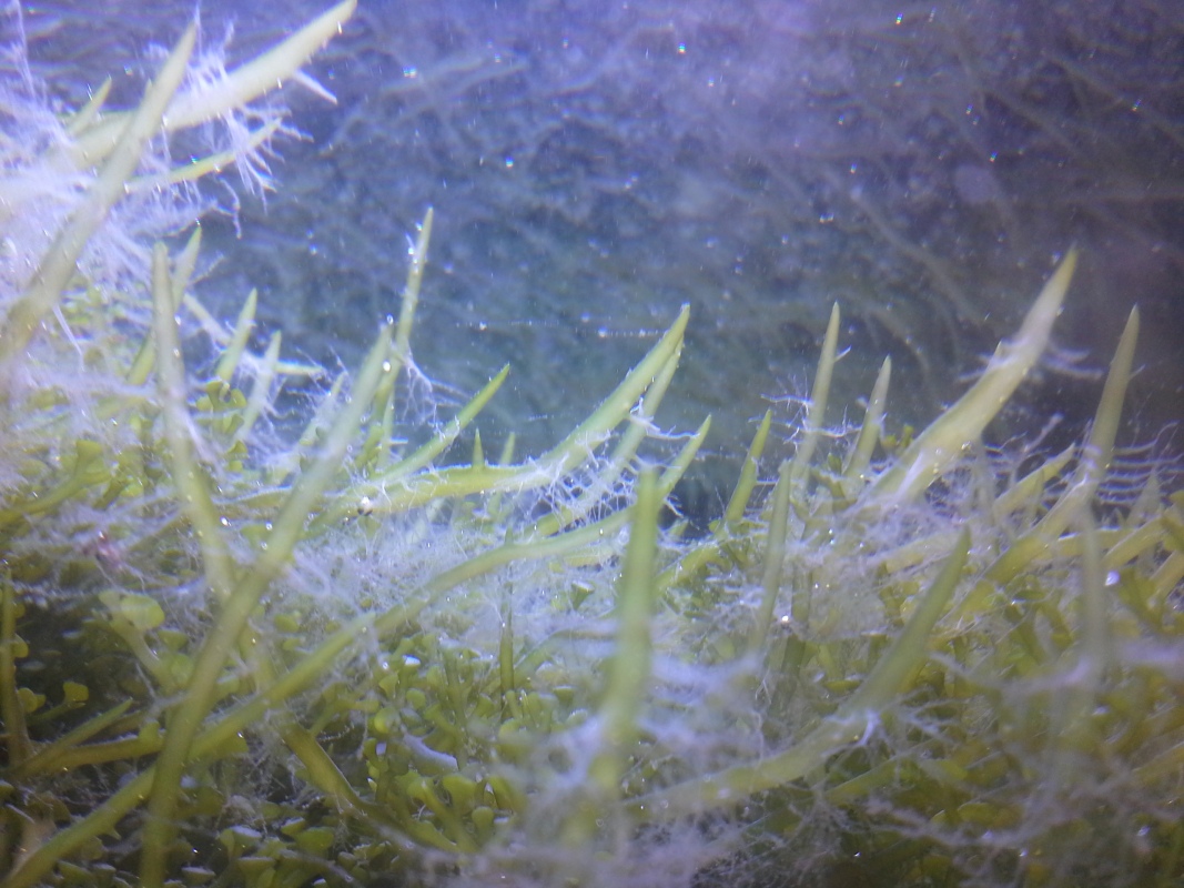Scaled image 20121103_130842.jpg (289kB)