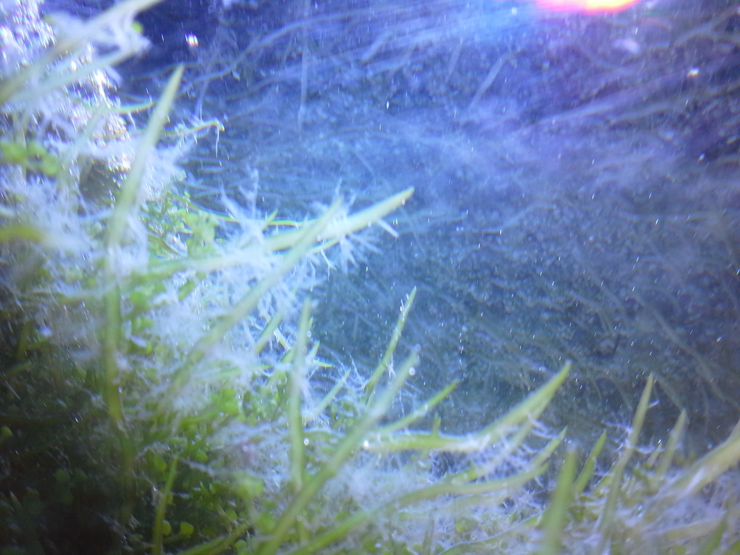 Scaled image 20121103_130849.jpg (298kB)