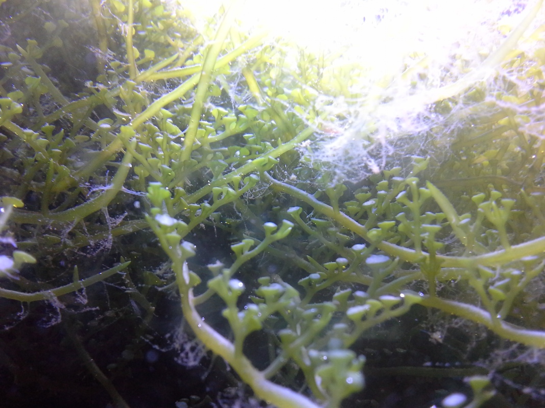 Scaled image 20121103_130854.jpg (312kB)