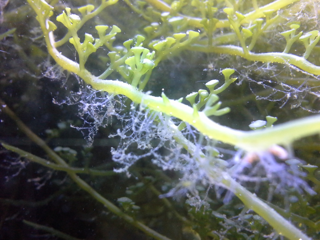 Scaled image 20121103_130858.jpg (311kB)