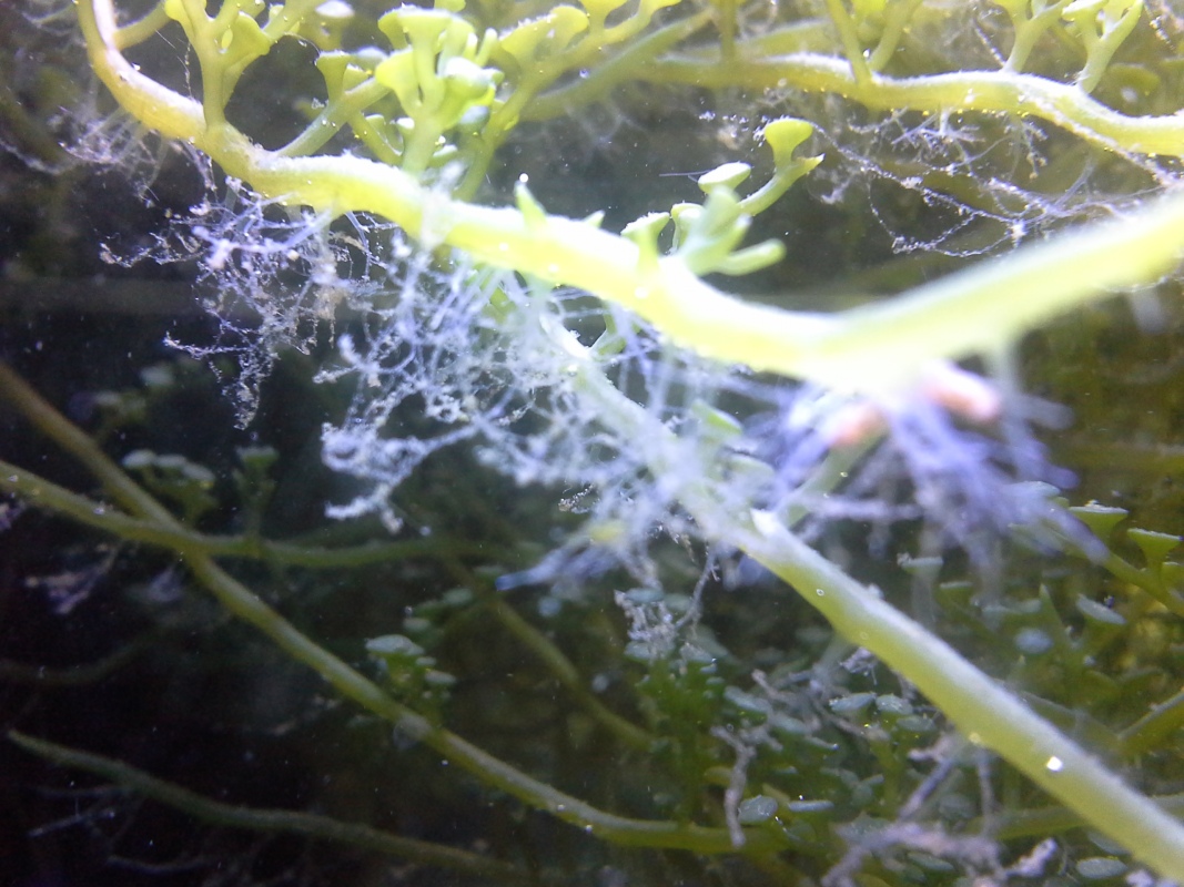 Scaled image 20121103_130901.jpg (298kB)