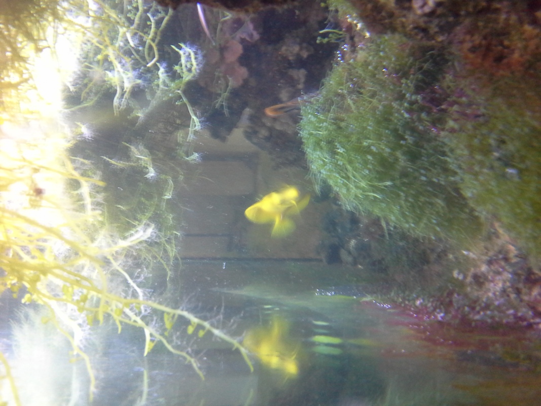 Scaled image 20121103_131016.jpg (286kB)