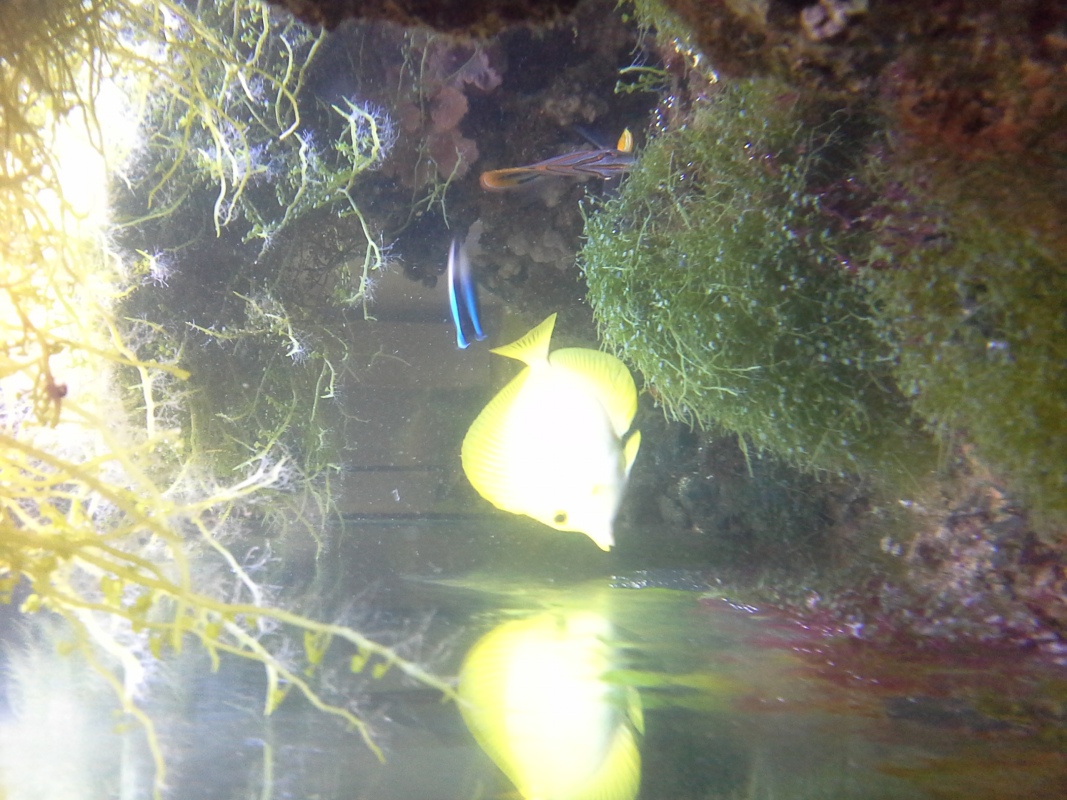 Scaled image 20121103_131020.jpg (320kB)