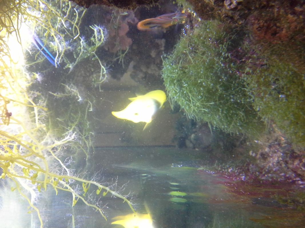 Scaled image 20121103_131024.jpg (336kB)