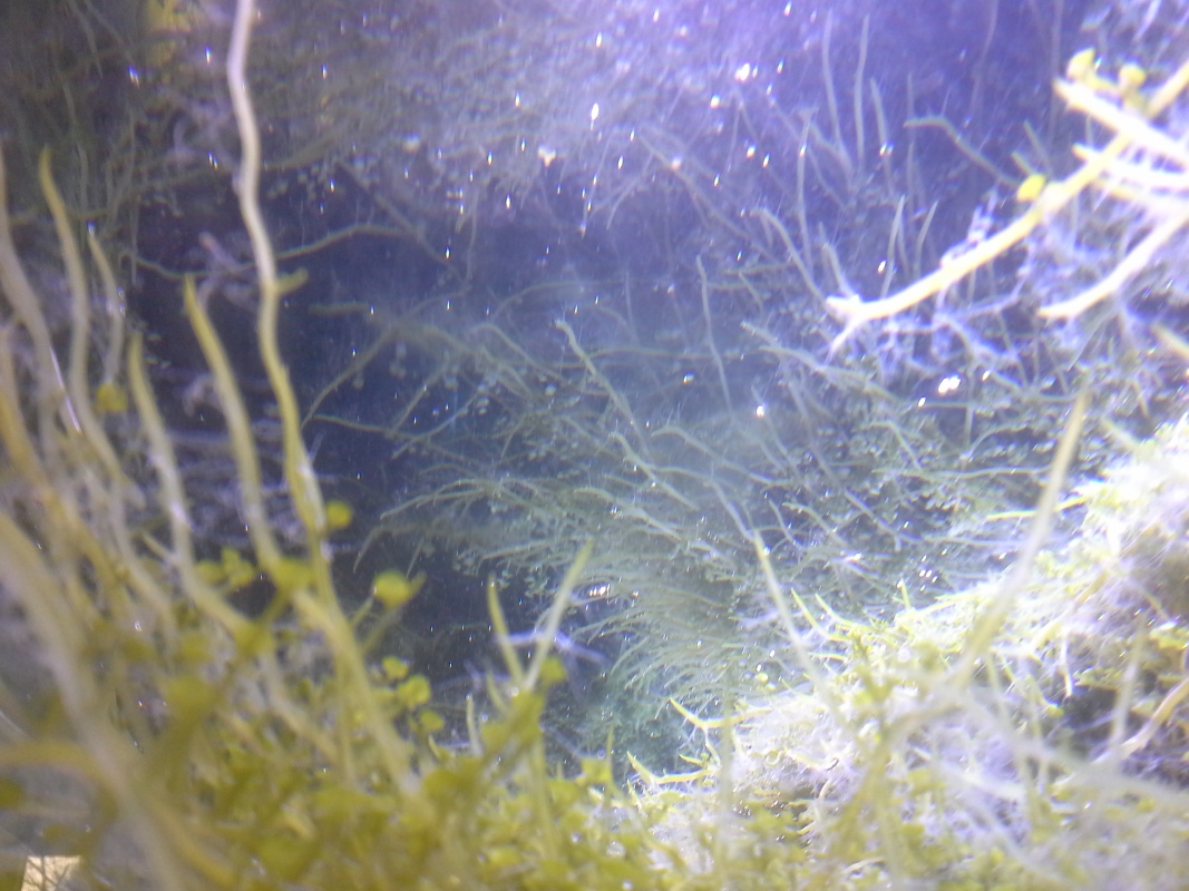 Scaled image 20121103_131048.jpg (300kB)