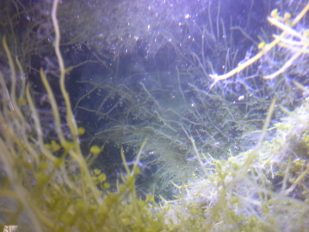 Scaled image 20121103_131051.jpg (296kB)