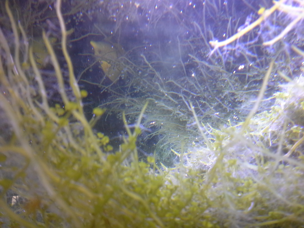 Scaled image 20121103_131054.jpg (274kB)