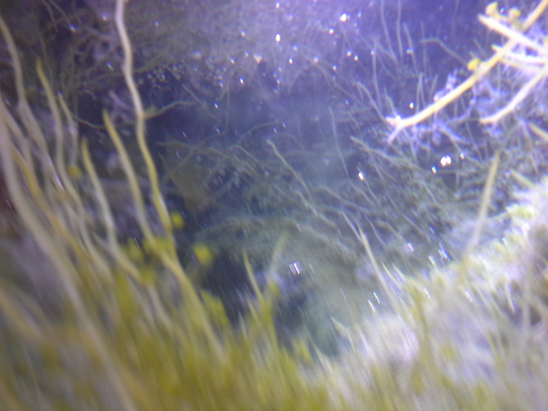 Scaled image 20121103_131058.jpg (227kB)