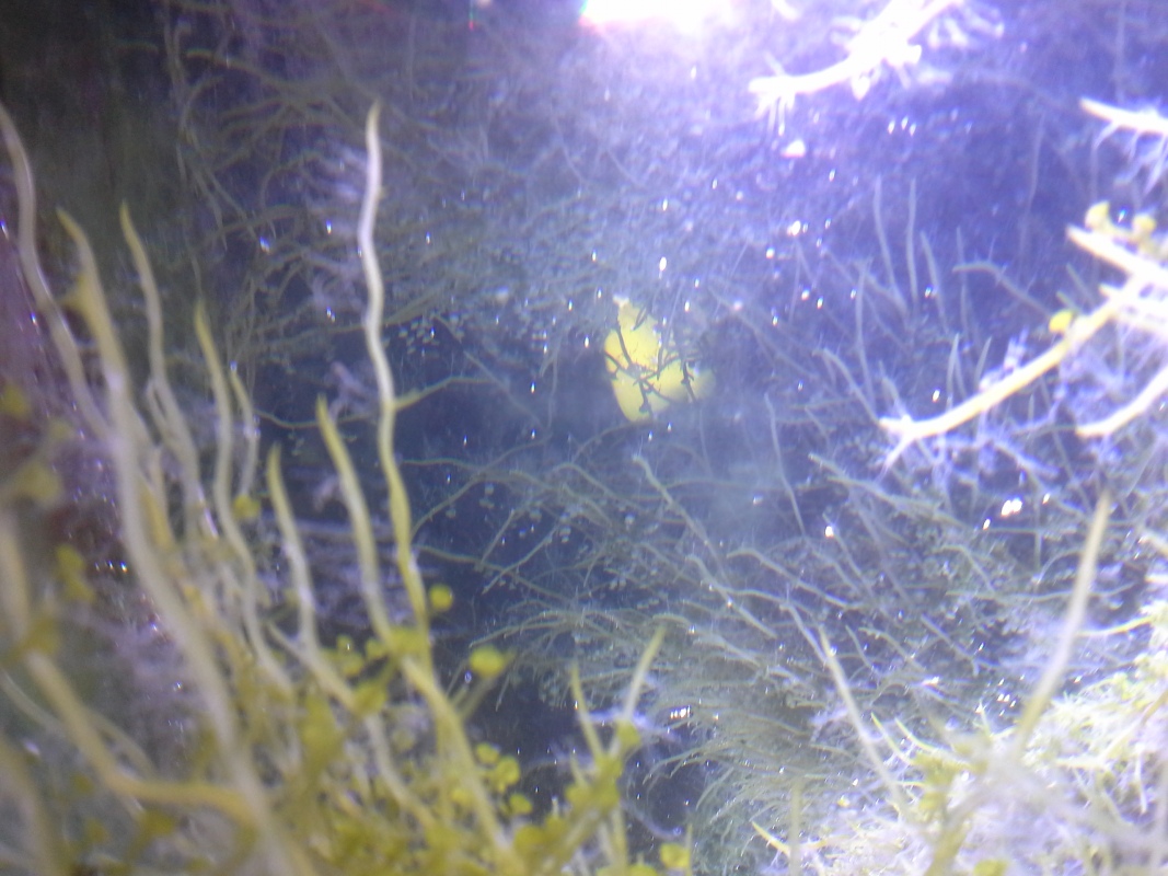 Scaled image 20121103_131101.jpg (279kB)