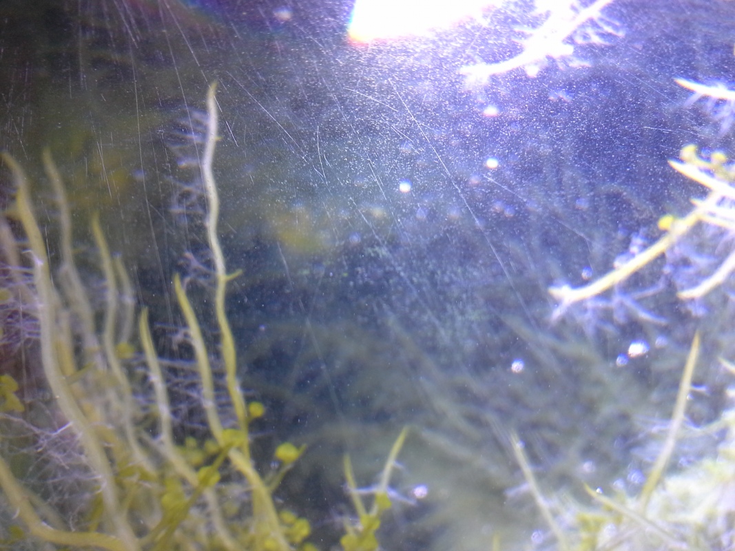Scaled image 20121103_131105.jpg (312kB)