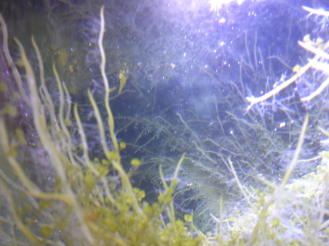 Scaled image 20121103_131108.jpg (291kB)