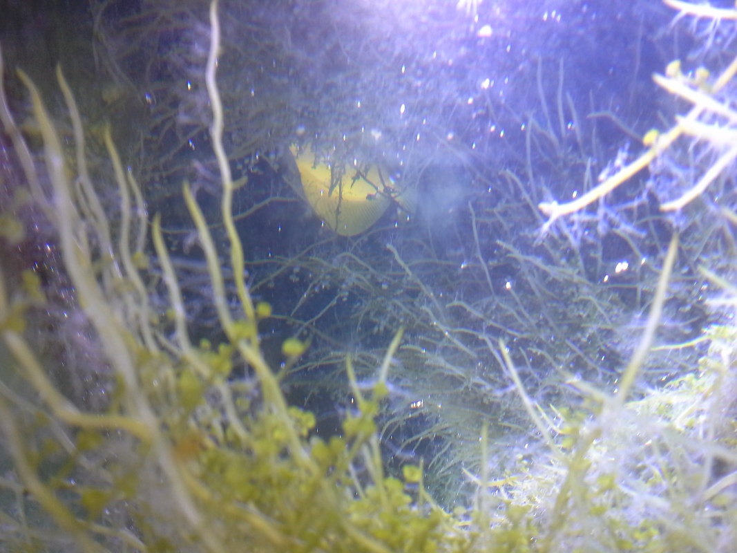 Scaled image 20121103_131113.jpg (275kB)