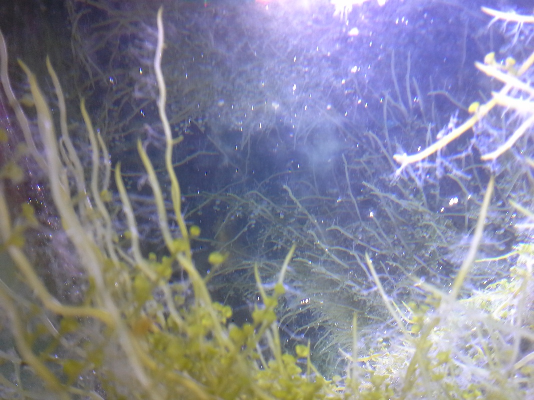 Scaled image 20121103_131116.jpg (287kB)