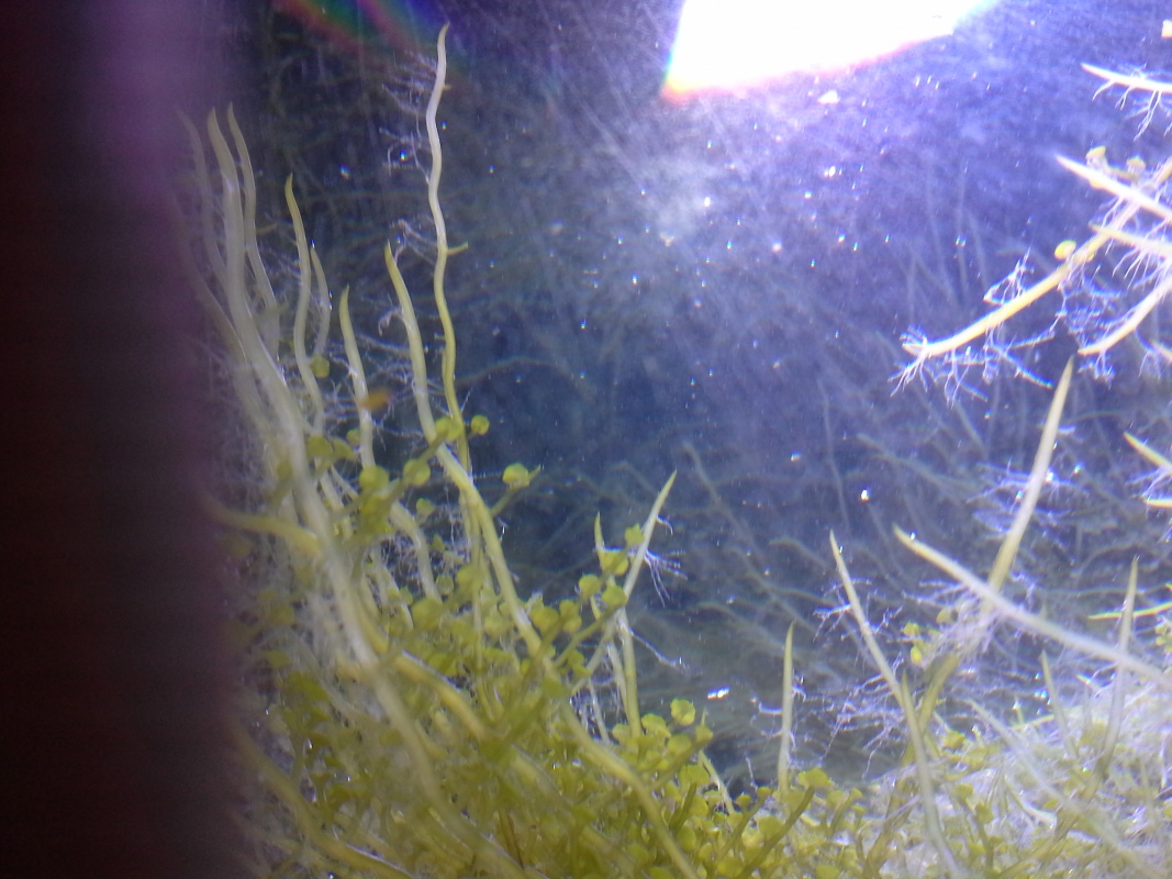 Scaled image 20121103_131132.jpg (294kB)
