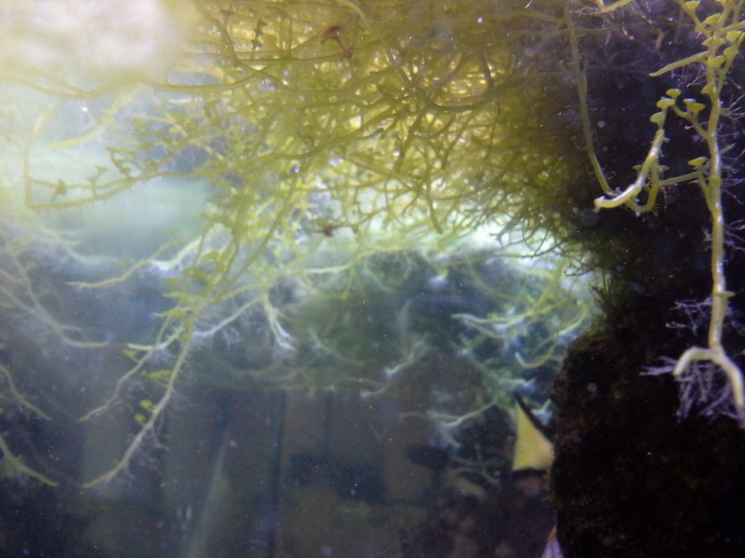 Scaled image 20121103_131140.jpg (270kB)