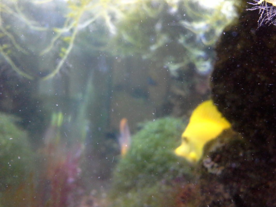 Scaled image 20121103_131153.jpg (232kB)