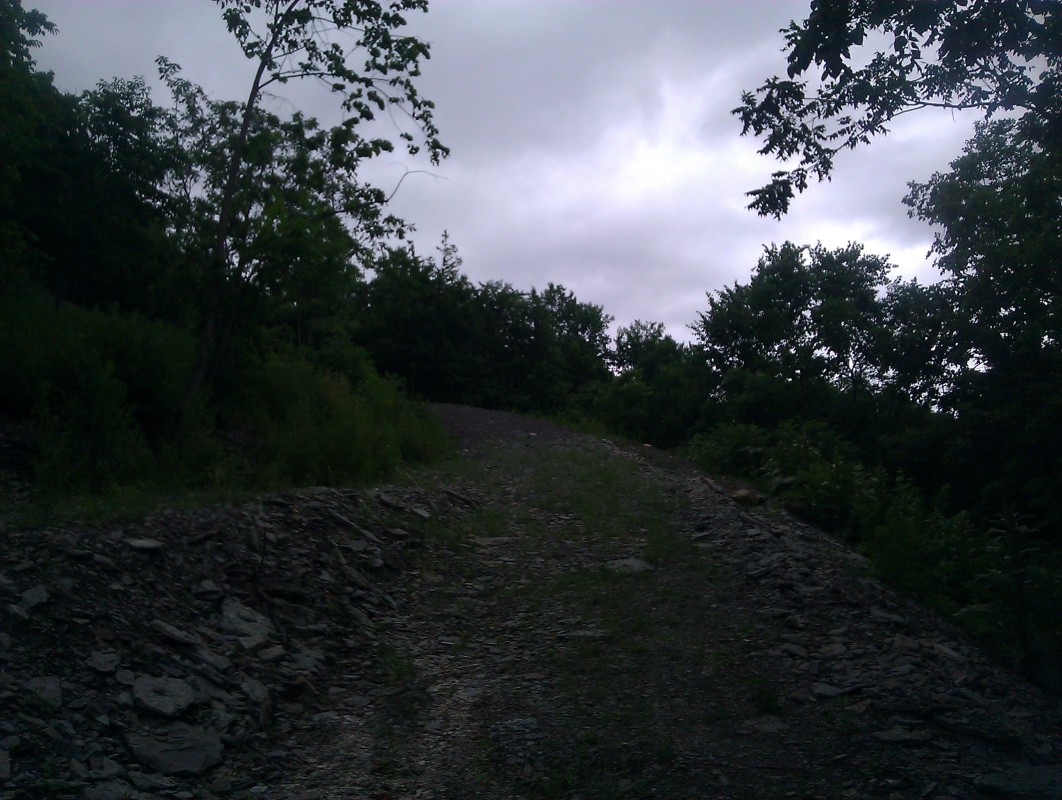 Scaled image IMG_20120625_123640.jpg (253kB)