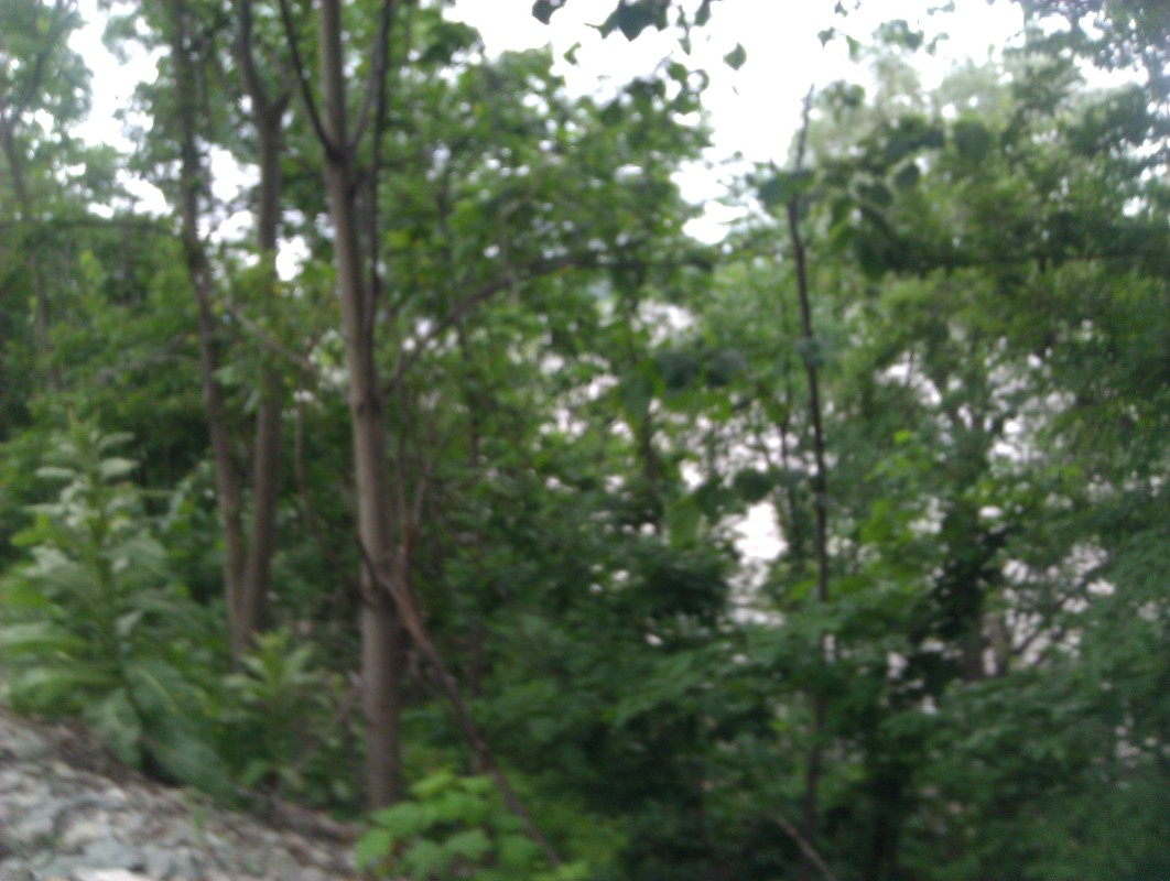 Scaled image IMG_20120625_123644.jpg (201kB)