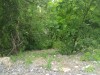 Thumbnail IMG_20120625_123131.jpg 