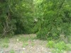 Thumbnail IMG_20120625_123146.jpg 