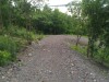 Thumbnail IMG_20120625_123227.jpg 