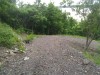 Thumbnail IMG_20120625_123245.jpg 
