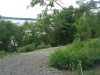 Thumbnail IMG_20120625_123312.jpg 