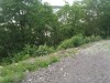 Thumbnail IMG_20120625_123322.jpg 