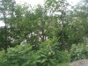 Thumbnail IMG_20120625_123345.jpg 
