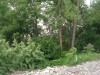 Thumbnail IMG_20120625_123358.jpg 