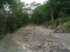 Thumbnail IMG_20120625_123403.jpg 