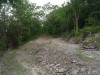 Thumbnail IMG_20120625_123406.jpg 
