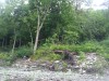 Thumbnail IMG_20120625_123423.jpg 