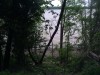 Thumbnail IMG_20120625_123445.jpg 
