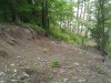 Thumbnail IMG_20120625_123508.jpg 